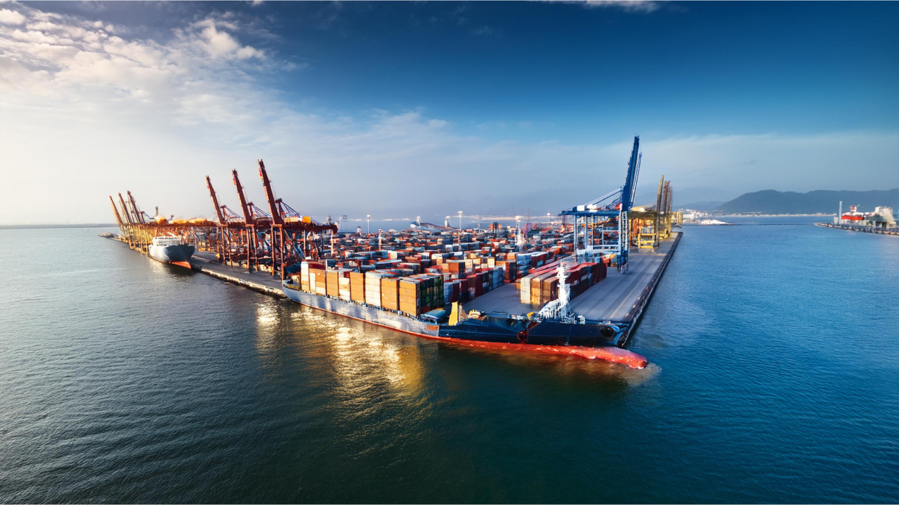 Facilitating the international expansion of argentine products