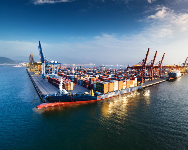 Facilitating the international expansion of argentine products